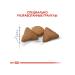 ROYAL CANIN Dry food Indoor Appetite Control for Cats 2kg - Buy Online on GoSupps.com
