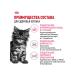 ROYAL CANIN Dry food for kittens of the Main Kun breed up to 15 months 2kg - Buy Online on GoSupps.com