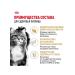 ROYAL CANIN Dry food for adult cats of Siberian breed 2kg - Buy Online on GoSupps.com