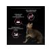 PRO PLAN Feed for cats with sensitive digestion of the lamb 1.5 kg - Buy Online on GoSupps.com