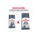 ROYAL CANIN Dantal Care Dry Feed for Cats 1.5 kg - Buy Online on GoSupps.com