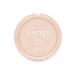 DIVAGE Compact powder True Color No. 01 Fair