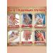 Ointment for gout - Buy Online on GoSupps.com