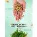 AgroBOOST Set for growing grass for cats oatmeal - Buy Online on GoSupps.com