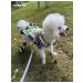 PawHaven Folding wheelchair for dogs and cats XXXS - Buy Online on GoSupps.com