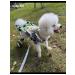PawHaven Folding wheelchair for dogs and cats s - Buy Online on GoSupps.com