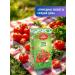 koiko Juice Gardens Tomatny with salt with pulp 2l - Buy Online on GoSupps.com