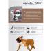 AlphaPet WOW Medium Dry Food for Adult Dogs with Beef and Heart 2 kg - Buy Online on GoSupps.com