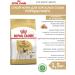 ROYAL CANIN Dog food for dry pug pug adult 1.5 kg