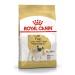 ROYAL CANIN Dog food for dry pug pug adult 1.5 kg - Buy Online on GoSupps.com