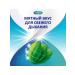 Korega Cream for fixing mint taste 40g - Buy Online on GoSupps.com