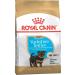 ROYAL CANIN Dry food for puppies Yorkshire Pappy Terrier 1.5 kg - Buy Online on GoSupps.com