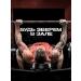 Balace ECDYSTERONE-C Testosterone for sports in capsules - Buy Online on GoSupps.com