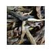 Chinese dragon Puer Shen Spread Young Green Chinese 1 Liang (38g) - Buy Online on GoSupps.com