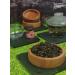 Chinese dragon Ulun those guan yin light Chinese scattered elite tea - Buy Online on GoSupps.com