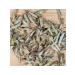 Chinese dragon Puer kidneys I'm bao white tea 38 g - Buy Online on GoSupps.com