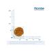 MONGE Cat Urinary food for cats 400 g - Buy Online on GoSupps.com