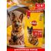 PEDIGREE Dry food for adult dogs of large breeds beef 13 kg