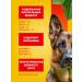 PEDIGREE Dry food for adult dogs of large breeds beef 13 kg - Buy Online on GoSupps.com