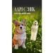 Trick Address on a collar for a dog and cat 2pcs
