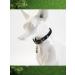 Trick Address on a collar for a dog and cat 2pcs - Buy Online on GoSupps.com