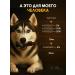CBD soothing oil for dogs from 5 kg (5%) 10 ml - Buy Online on GoSupps.com