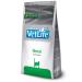 Farmina VET LIFE RENAL Cat for cats dry 2 kg - Buy Online on GoSupps.com