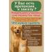 AJO Dry food for puppies of small breeds with a turkey 1.5 kg - Buy Online on GoSupps.com