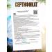 The Power of Altai Zhivitsa is a natural cedar - Buy Online on GoSupps.com