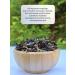 LIBERICA Black tea with green Tatar 200g - Buy Online on GoSupps.com
