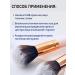 eco branch BB cream tonal to the face Sunny SPF 50 ml of Korea - Buy Online on GoSupps.com