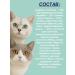 Buddy&Sol Dry food for kittens turkey lamb 2kg - Buy Online on GoSupps.com