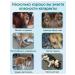 Drops from cataracts for cats and dogs 20 ml - Buy Online on GoSupps.com