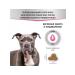 Miratorg Dry feed of dogs of all breeds care for digestion 1.5 kg - Buy Online on GoSupps.com