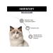 Miratorg Dry food sterilized cats older than 1g rabbit 400g - Buy Online on GoSupps.com