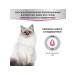 Miratorg Spiders for cats "Bereday care for digestion" 80 grams - Buy Online on GoSupps.com