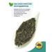 LIBERICA Green Tea Sencha 200g - Buy Online on GoSupps.com