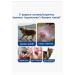Ear drops for dogs and cats from ticks 120 ml - Buy Online on GoSupps.com