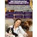 porridge for dogs without cooking - Buy Online on GoSupps.com