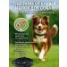 It will be necessary Blockel collar for dogs