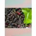 DESTEK Organic mulberry extract Pekmes 640 gr T rkiye - Buy Online on GoSupps.com