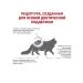 ROYAL CANIN Renal Special Cat Forms Dry 2 kg - Buy Online on GoSupps.com
