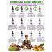 alantra Syrup from cough and colds on herbs without sugar 200 ml - Buy Online on GoSupps.com