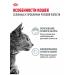 ROYAL CANIN Dental Care cats Dental KEA 0.4 kg - Buy Online on GoSupps.com