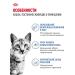 ROYAL CANIN Cat food Indoor Indodor 0.4 kg - Buy Online on GoSupps.com