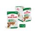 ROYAL CANIN Wet feed for dogs Mini Ageing 8+ 12 x 85 g