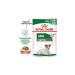ROYAL CANIN Wet feed for dogs Mini Ageing 8+ 12 x 85 g - Buy Online on GoSupps.com