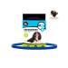 Bio -cheese from parasites "Phazon Premium" for dogs blue