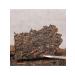 Black Chinese Chinese Goya "Shu Puer Char Zhuan" - Buy Online on GoSupps.com