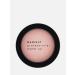Radiant Professional MakeUp Blush Color 117 pink apricot blush compact
